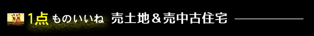 1点ものいいね売土地＆売中古住宅